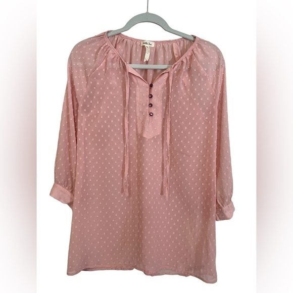 Matilda Jane Women's Sheer Swiss Dot Tunic Pullover Blouse, Small, Light Pink - Picture 1 of 7